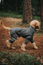 Load image into Gallery viewer, Rhodesian Ridgeback Wool Overall
