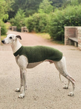 Load image into Gallery viewer, A whippet standing with his side facing the camera. He is wearing a whippet vest made of wool. The neck and back is a dark green, and the part under the chest is light beige.
