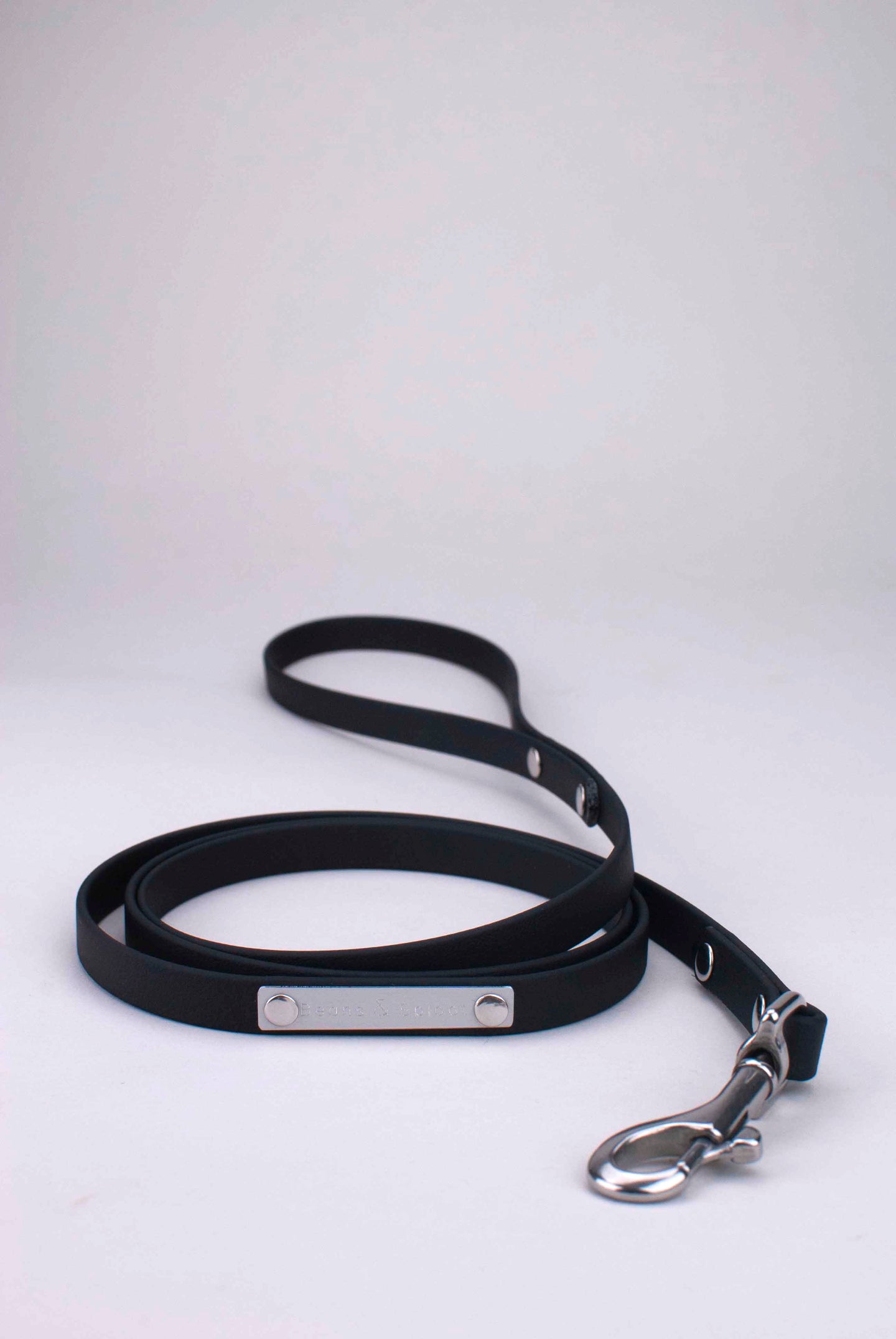 Black leash in biothane with stainless steel rivets, tag and snap hook