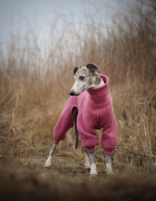 Load image into Gallery viewer, A whippet wearing a jumpsuit made of wool. The jumpsuit is pink.
