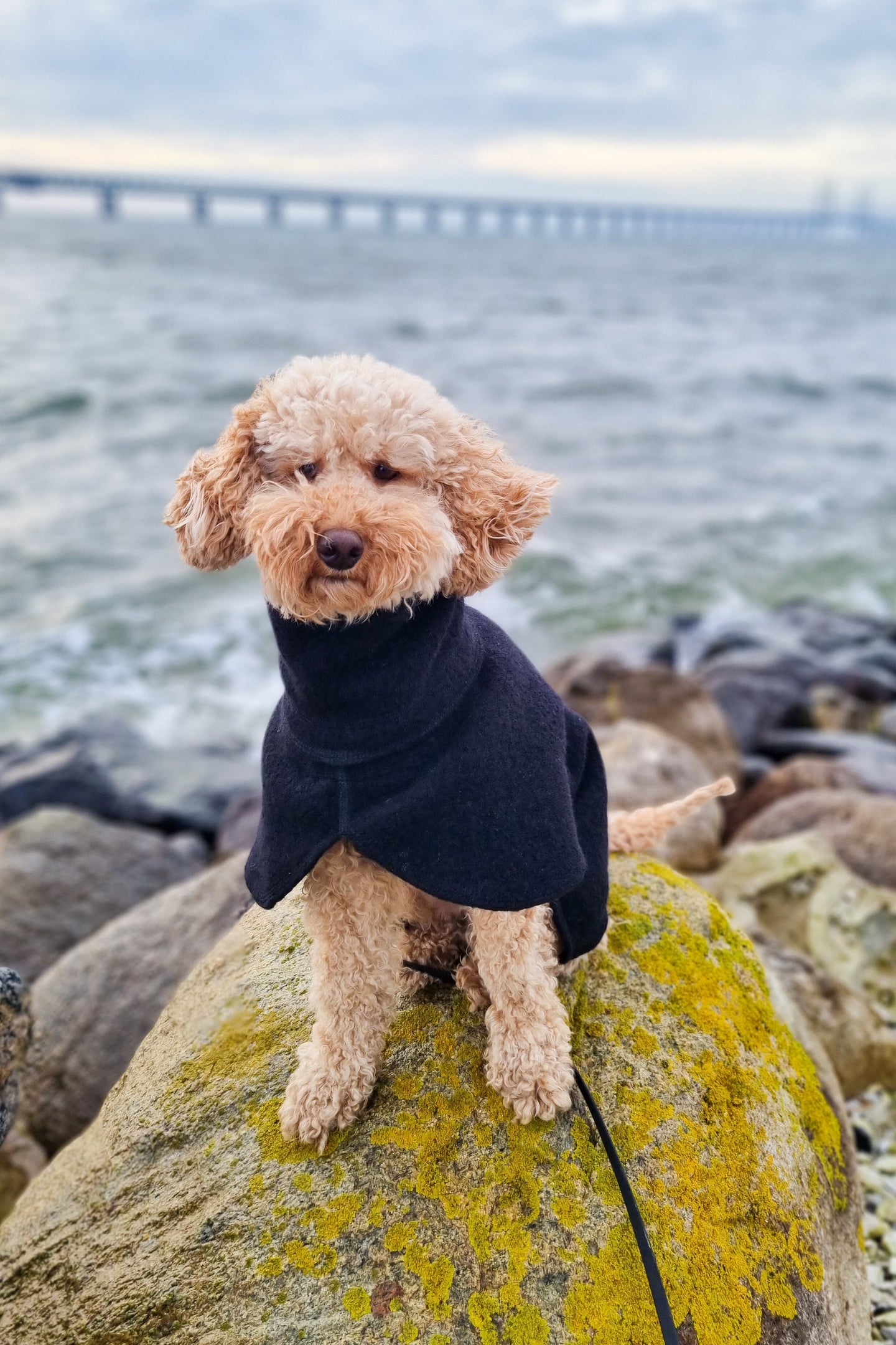 Wool Coat in 100 % wool
