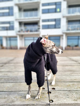 Load image into Gallery viewer, Whippet wearing a black wool onesie
