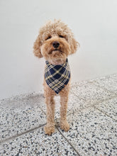 Load image into Gallery viewer, Dog Bandana - Blue Square
