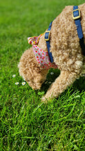 Load image into Gallery viewer, Dog bandana - Strawberries
