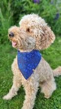 Load image into Gallery viewer, Dog bandana - Blue Flower
