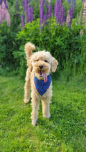 Load image into Gallery viewer, Dog bandana - Blue Flower
