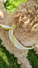 Load image into Gallery viewer, Dog bandana - Yellow Flower
