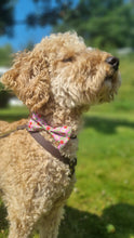 Load image into Gallery viewer, A golden dog wearing a pink bow tie with strawberries and white flowers.
