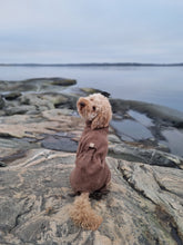 Load image into Gallery viewer, Wool Suit in 100 % wool - Short neck
