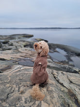 Load image into Gallery viewer, A medium poodle sitting with his back facing the camera. He is wearing a jumpsuit in brown.
