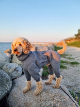 Load image into Gallery viewer, Whippet coat in 100 % wool - long neck
