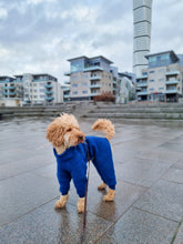 Load image into Gallery viewer, Whippet Overall in 100 % wool - Short neck
