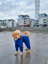 Load image into Gallery viewer, Whippet Jumpsuit in 100 % wool
