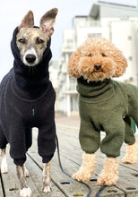 Load image into Gallery viewer, A whippet wearing a black wool onesie next to an apricot poodle wearing a green wool onesie
