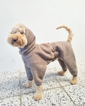 Load image into Gallery viewer, An apricot poodle wearing a dog overall in beige in wool 
