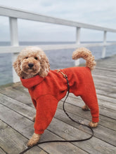 Load image into Gallery viewer, Wool Suit in 100 % wool - Short neck
