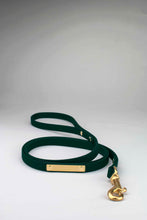Load image into Gallery viewer, Dark green leash in biothane with brass gold rivets, tag and snap hook
