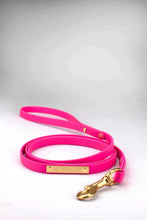 Load image into Gallery viewer, Bright pink leash in biothane with brass gold rivets, tag and snap hook

