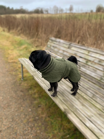 Pug Wool Coat in 100 % wool - Short neck