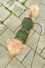 Load image into Gallery viewer, Pug Wool Coat in 100 % wool - Short neck
